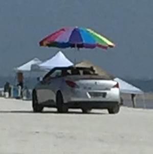 Meet your Posher, Annie